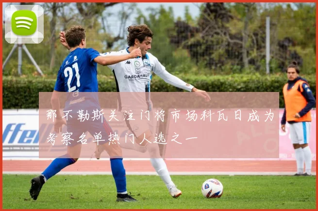 那不勒斯关注门将市场科瓦日成为考察名单热门人选之一